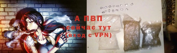дживик Володарск