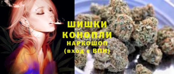 дживик Володарск